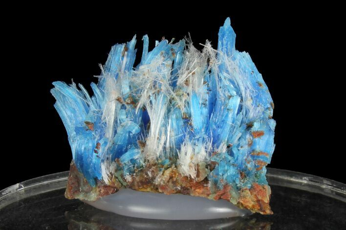 Vibrant Blue Chalcanthite - Planet Mine, Arizona #176482